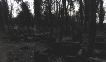 Opuszczony cmentarz żydowski, wrocław