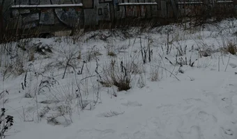 Fabryka anilany, Łódź