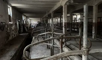 I n s t y t u t h o d o w l i b y dŁ a, b r w i nÓ w - photo 2/4