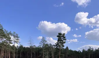 dom, Emów