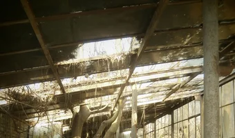 Opuszczone szklarnie