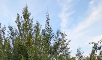 Trzy opuszczone budynki