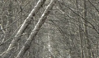 Dywizjon techniczny książenice - photo 3/4