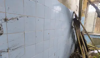 Opuszczone hale i piwnice - zdjęcie 3/4