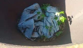 Cmentarzysko pojazdów, Karolew