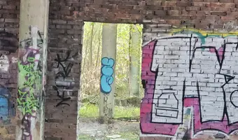 O p u s z c z o n a h a l a - zdjęcie 2/13