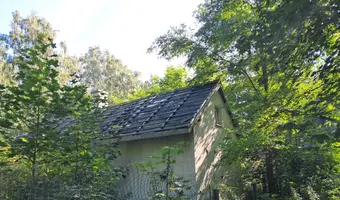 Opuszczona działka - zdjęcie 2/2