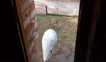 Komisariat Policji w Konstancinie Jeziorna