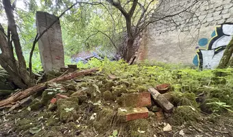Ruiny opuszczonego domu