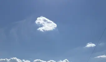 Opuszczony dom - zdjęcie 2/3
