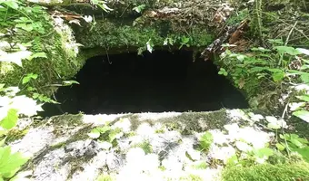 Opuszczona leśniczówka