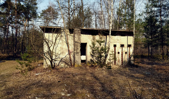 Opuszczone bunkry sowieckie, zielonka