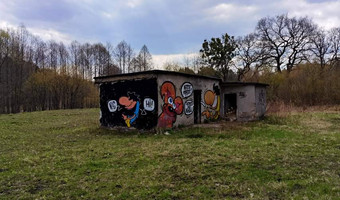 Domek w lesie z graffiti