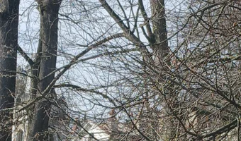 Pałac wola boglewska była szkola - zdjęcie 3/4