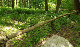 Stary cmentarz rodziny erdmanów