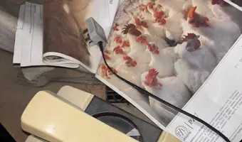 Punkt terapii ponałogowej w strzyżnie - zdjęcie 2/4