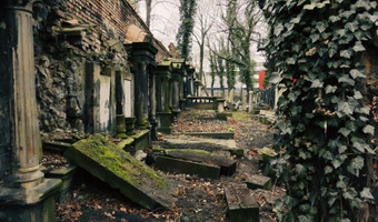 Stary cmentarz Żydowski, katowice