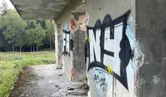 budynki