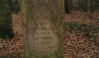 Zabytkowy cmentarz z przełomu XIX-XX wieku,