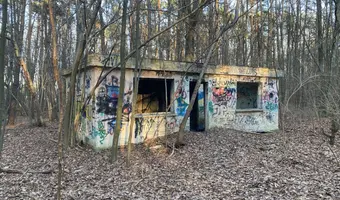 Szkółka roślin ozdobnych