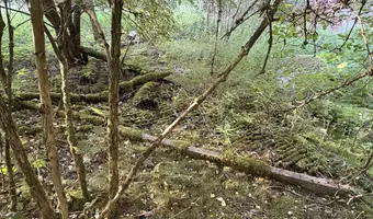 Ruiny opuszczonego domu