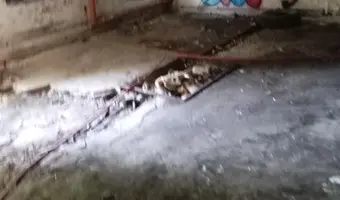 Restauracja Olimpijska