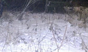 Opuszczony mały budynek w łodzi