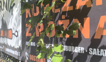 Opuszczony budynek.