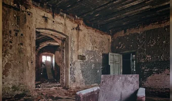 Pałac w trawnikach, trawniki