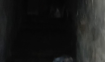 Opuszczona kamienica