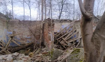 Ruiny gospodarstwa - zdjęcie 2/4