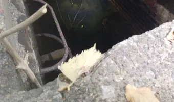 Oczyszczalnia Ścieków anilany, Łódź - zdjęcie 4/4