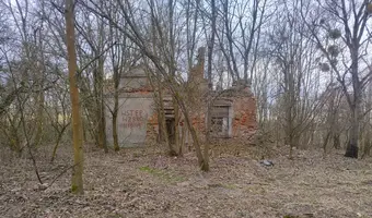 Ruiny Dworu p. Kleczkowskiej w Wiączyniu Dolnym