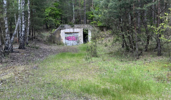 Radiówek, wiązowna