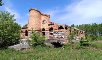 Ruiny willi