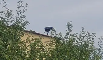 Opuszczony PGR