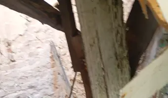 Opuszczony dom z lekko zawalonym dachem - photo 3/4