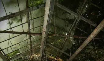 Opuszczone szklarnie ( warszawa ursus)) - photo 3/4
