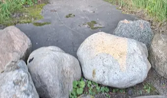 Opuszczony dwór z 1836 roku