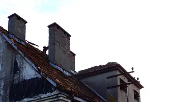 Zarośnięty dom