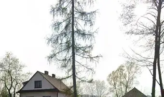 Gospodarstwo