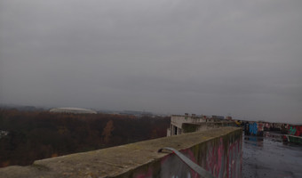 Czyżyński szkieletor