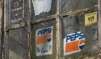 Budynek mieszkalny ze szklarnią - zdjęcie 2/4