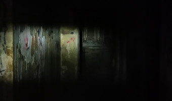 Zakład dla nerwowo i psychicznie chorych Żydów - zofiówka