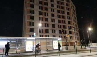 Czyżyński szkieletor