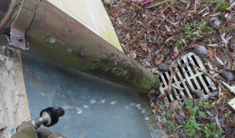 Restauracja biała karczma