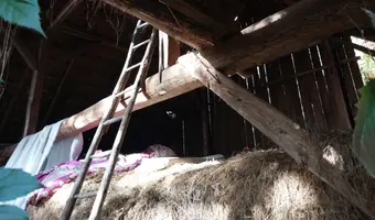Gospodarstwo z mnóstwem fantów w garażach