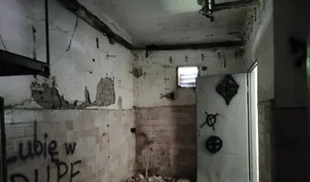 INSTYTUT HODOWLI BYDŁA, BRWINÓW