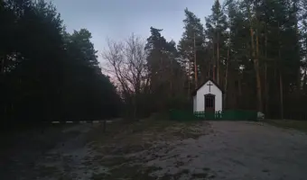 Opuszczona Wieś w Kampinoskim PN
