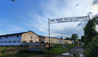 Kombinat p g r kaźmierz, zakład gaj wielki, gaj wielki